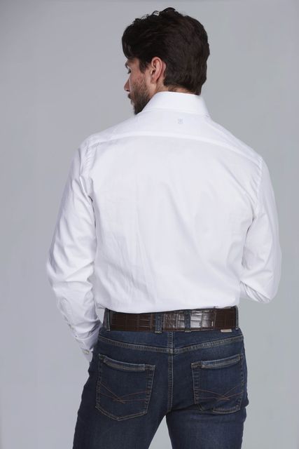 Dressed Wintwill Shirt