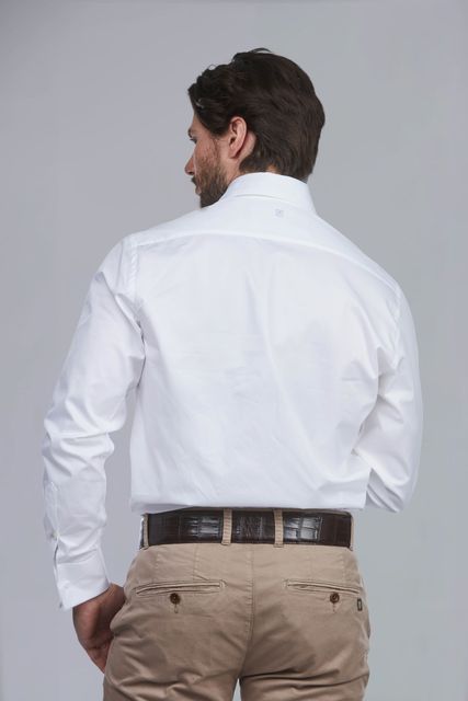 Dressed Wintwill Shirt