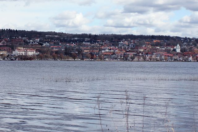 Helge Nyberg Environment
