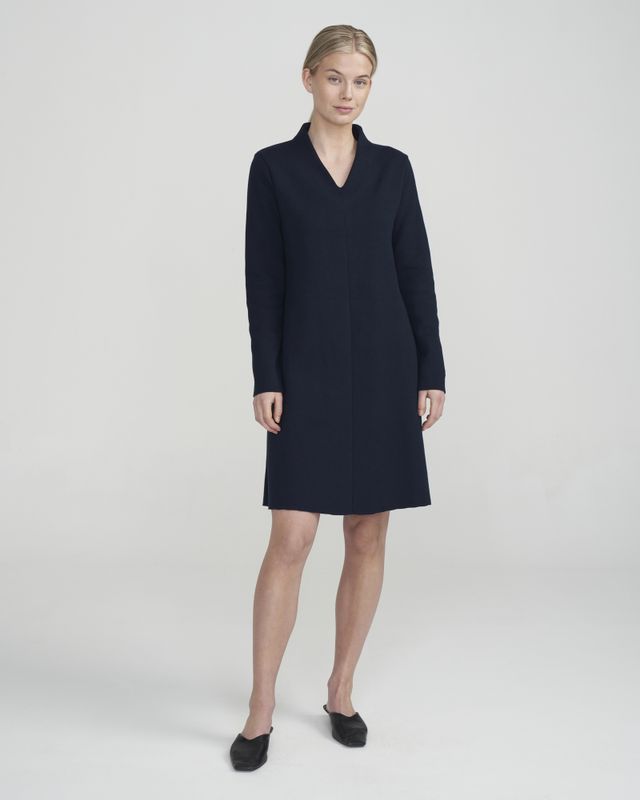 Aina V-neck Dress