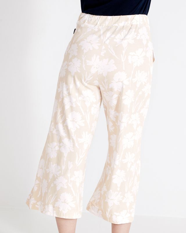 Asta Culotte