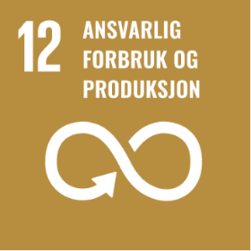 Globale mål nr 12
