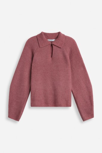 Niasiw polo
