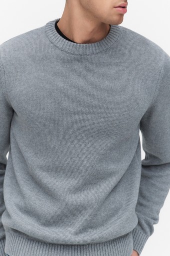 Lanegan crew neck