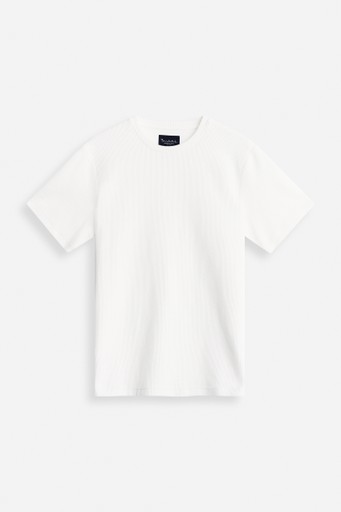 Roberto structure tee