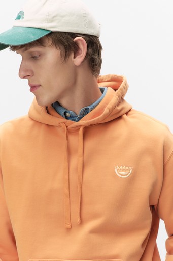 Wolter hood