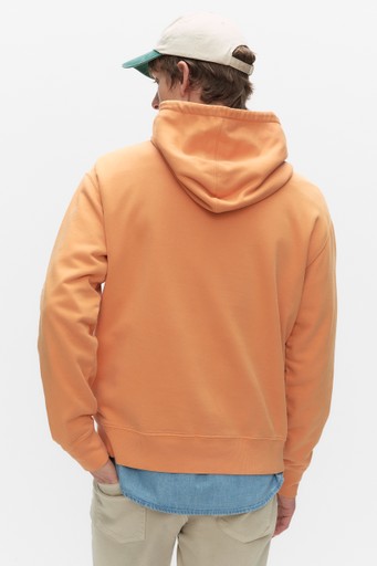 Wolter hood