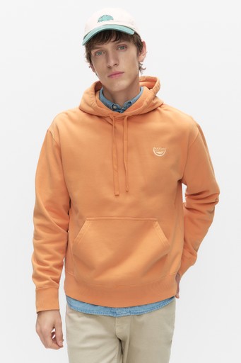 Wolter hood