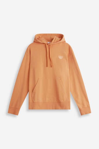 Wolter hood