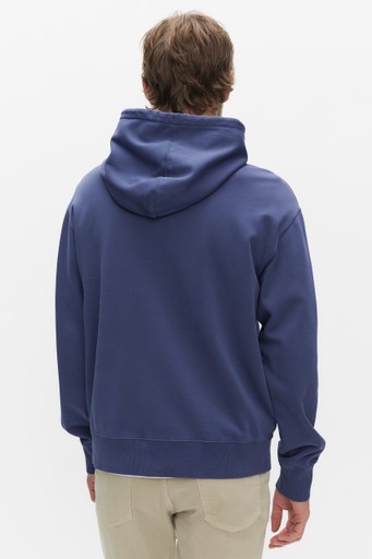Wolter hood