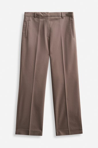 Desi straight cropped trs