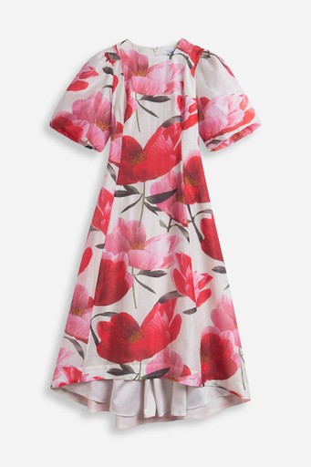 Alexandra dress
