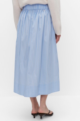 Amine skirt