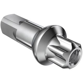 DT Swiss Nippeli Squorx Pro 15 mm Hopea DT Swiss Nippeli Squorx Pro 15 mm Hopea