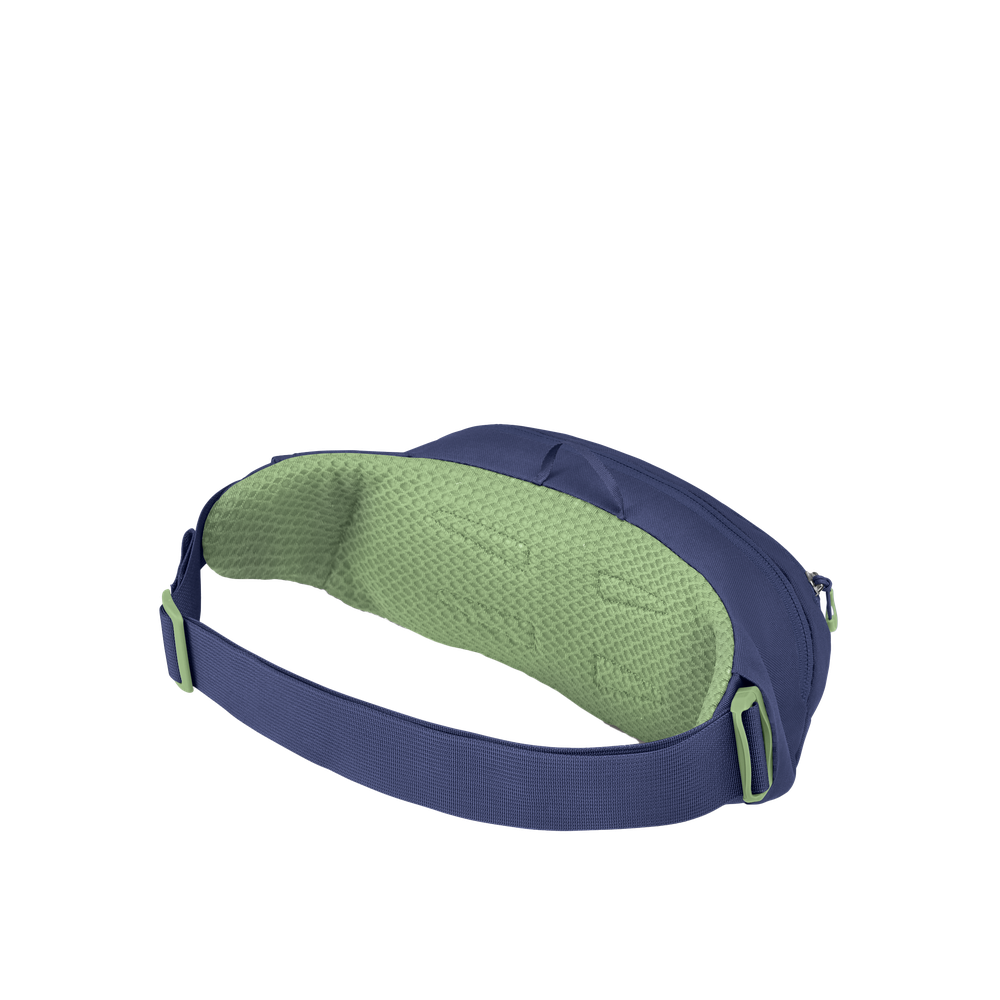 Daylite Waist Pack Blue Spikemoss/Alkaline