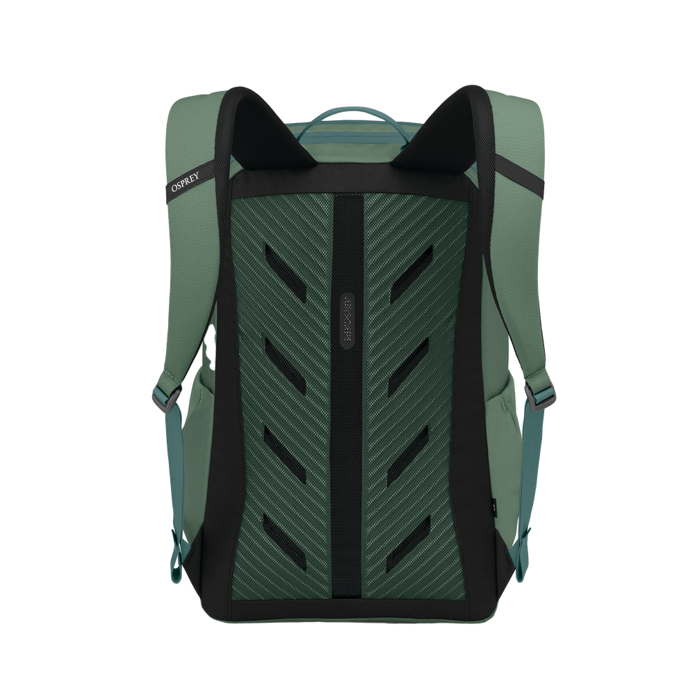Astronova Pine Leaf Green