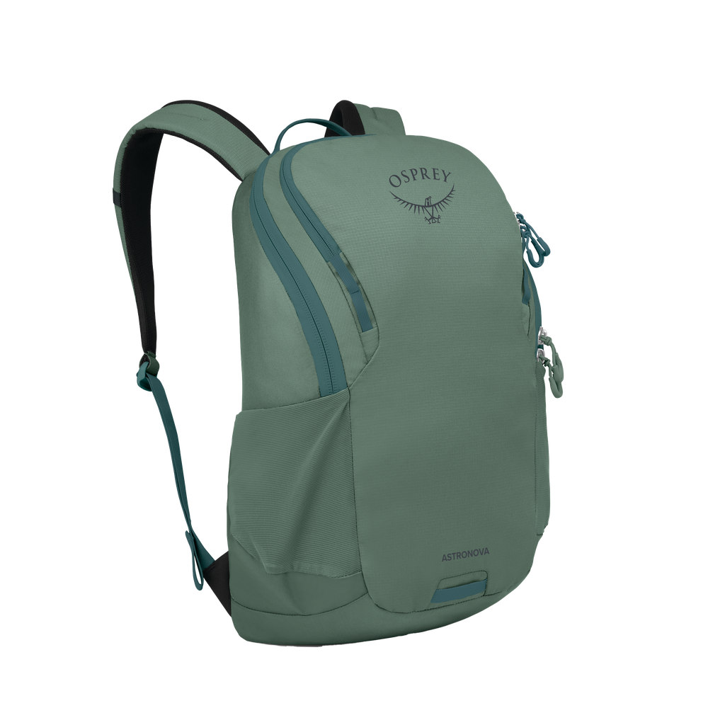 Astronova Pine Leaf Green