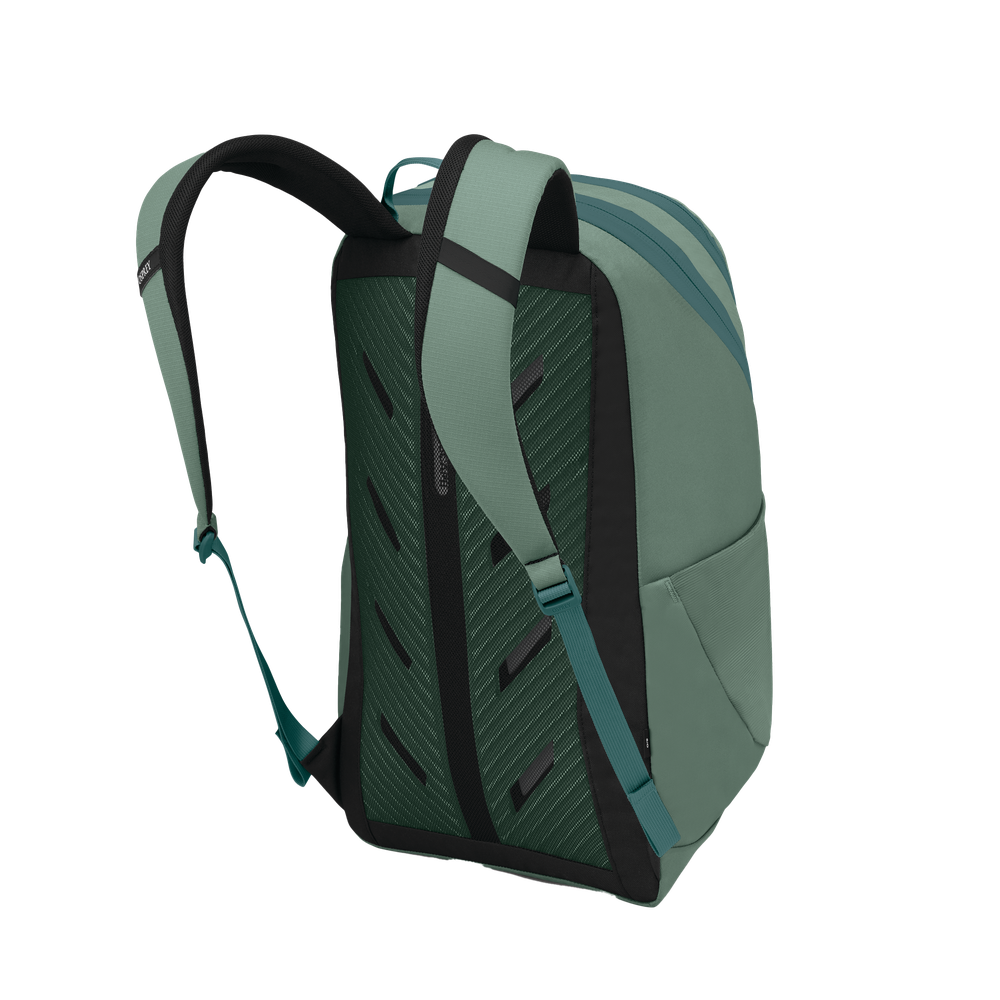 Astronova Pine Leaf Green